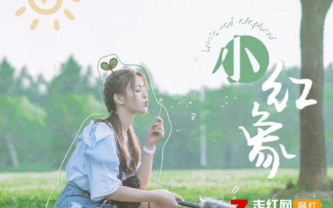 抖阴小红小象是小红象是什么歌，小红象歌曲介绍