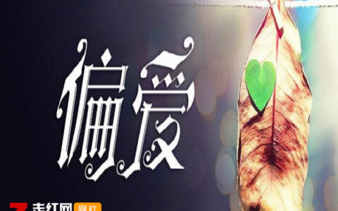 抖阴我想你365天外加65秒是什么歌，偏爱remix歌曲介绍