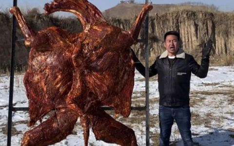 藏地九哥是谁，藏地九哥背景介绍