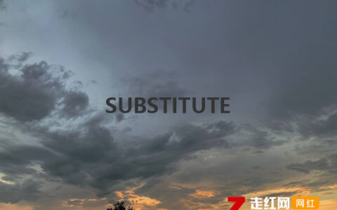 抖阴d a double u是什么歌，substitute歌曲介绍