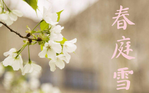 抖阴我心匪石不可转我心匪席不可卷是什么歌，春庭雪歌曲介绍