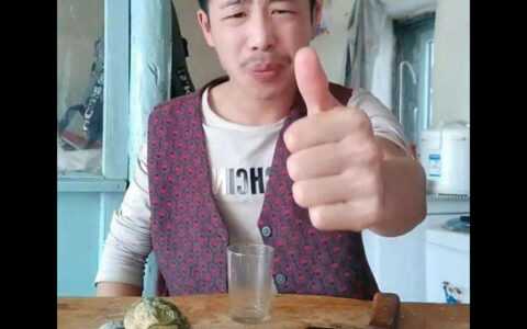 抖阴小鸟伏特加今天晚上整这高是什么歌，小鸟伏特加歌曲介绍