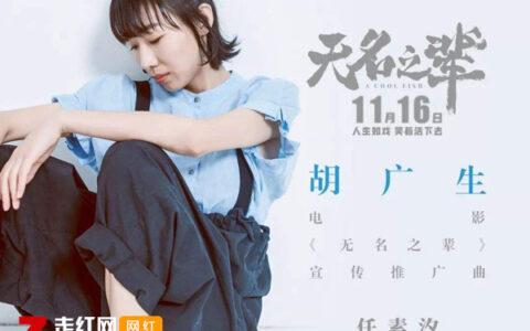 抖阴桥上走的哪一句我没到你别起韵是什么歌，胡广生歌曲介绍