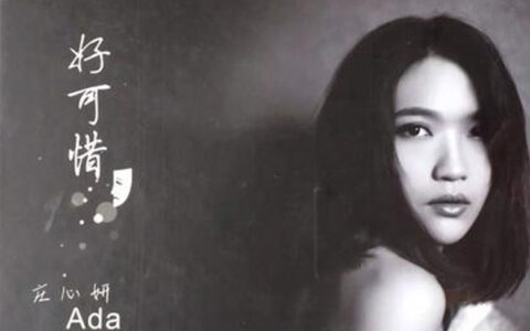 抖阴好可惜终于失去你对不起我已经尽力是什么歌，好可惜歌曲介绍