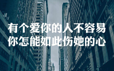 抖阴你以为一切都是没选好是什么歌，有个爱你的人不容易歌曲介绍