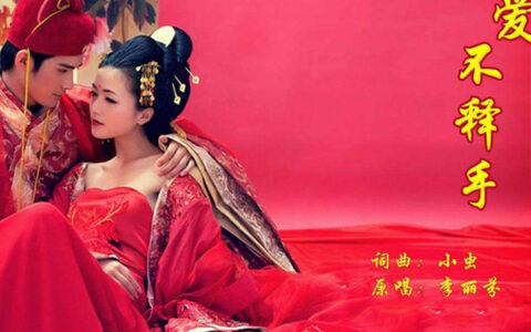 抖阴待我拱手河山讨你欢是什么歌，爱不释手歌曲介绍