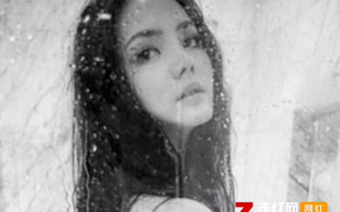 抖阴我还没熬过这一场魂不守舍是什么歌，挥霍歌曲介绍