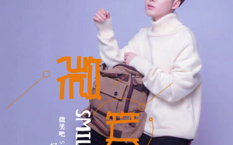 抖阴我像个小鸟在等归雁是什么歌，微笑吧歌曲介绍