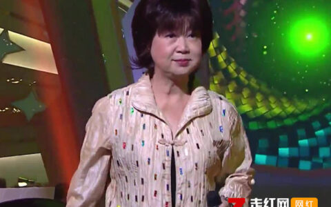 抖阴六婶三太公是什么歌，打雀英雄传歌曲介绍
