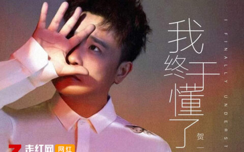 抖阴在匆忙的人群中保持沉默是什么歌，我终于懂了歌词介绍