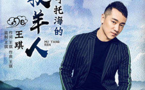 那夜的雨也没能留住你是什么歌曲歌词 可可托海的牧羊人原唱歌词