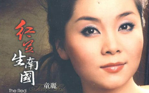 抖阴最肯忘却古人诗最不屑一顾是相思是什么歌，红豆生南国歌曲介绍