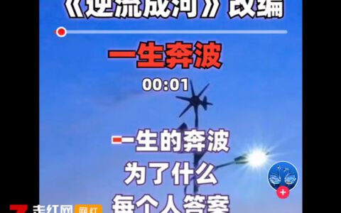 抖阴一生的奔波为了什么是什么歌，一生奔波为了什么歌曲介绍