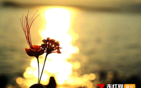 抖阴他慢慢不再是一个男孩是什么歌，慢慢歌曲介绍
