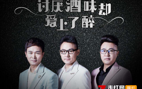 抖阴讨厌酒味却爱上了醉是什么歌，讨厌酒味却爱上了醉歌词介绍