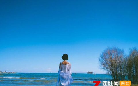 抖阴你说想去看北方的冬天是什么歌，我在你身后歌曲介绍