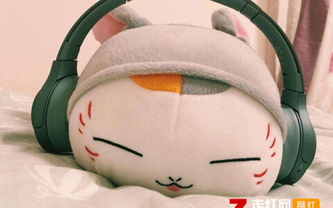 抖阴我还是想问你我还是想证明是什么歌，我还是歌曲介绍