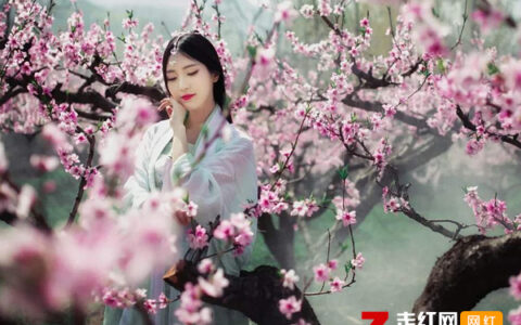 抖阴想你了想你了不见人面桃花相映红是什么歌，桃花缘歌曲介绍