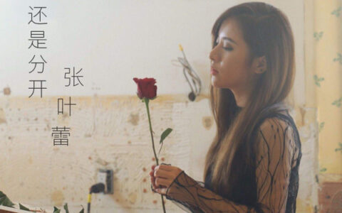 抖阴我和你吵了又吵闹过再闹还是分开是什么歌，还是分开歌曲介绍