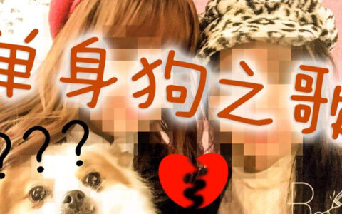 抖阴嘿别划走是什么歌，这首歌是写给你们单身狗歌曲介绍