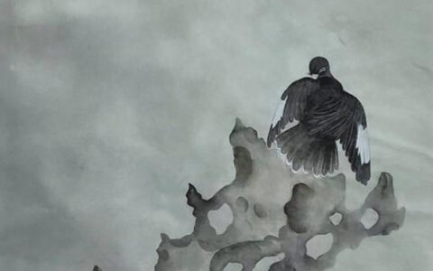 抖阴冷不防明枪暗箭雨纷杂是什么歌，慕侠歌曲介绍