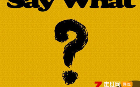 抖阴say what say what是什么歌，谐音塞我塞我塞我塞我，223s歌曲介绍