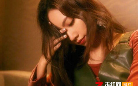 抖阴我怎么那么爱你是什么歌，聊表心意歌曲介绍