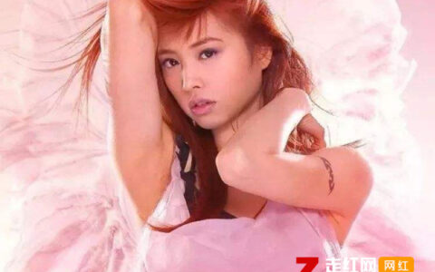 抖阴是谁说漂亮的女生没大脑是什么歌，爱情三十六计歌曲介绍