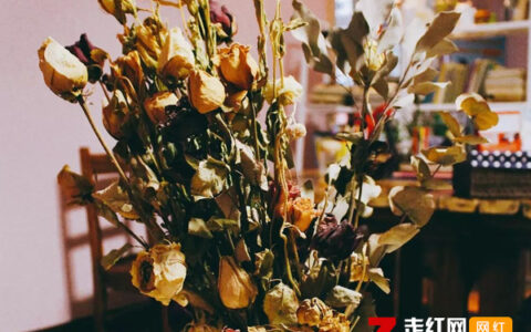 抖阴你就是我心中的小花花是什么歌，小花花歌曲