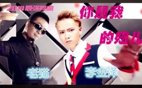 抖阴你是我的妞你往哪走是什么歌，你是我的妞歌曲介绍