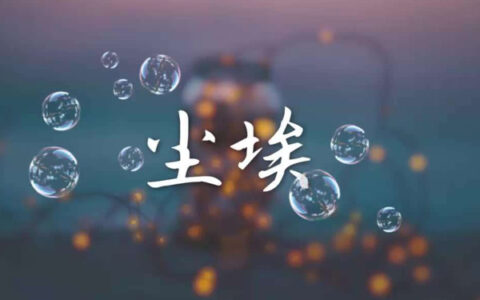 抖阴我的爱像尘埃散落在边疆地带是什么歌，尘埃歌曲介绍