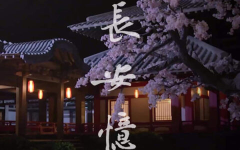 抖阴二十三弦急落花人独立是什么歌，长安忆歌曲介绍