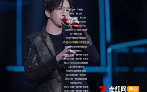 抖阴我听过你爱不爱你爱不爱我是什么歌，不爱我歌曲介绍