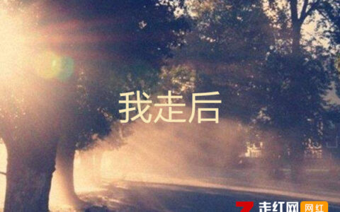 抖阴也许爱让此刻变成灰色是什么歌，我走后歌词分享