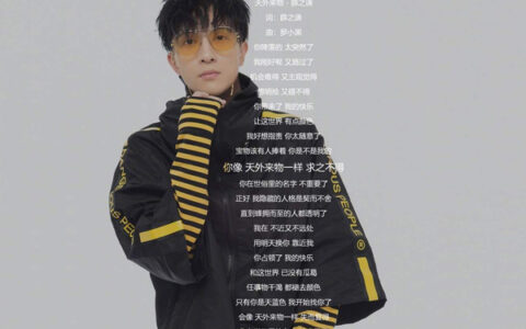 抖阴你像天外来物一样求之不得是什么歌，天外来物歌曲介绍
