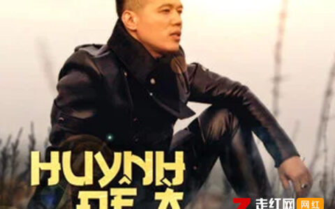 抖阴兄弟想你了越南版是什么歌，huynh Đệ À歌曲介绍