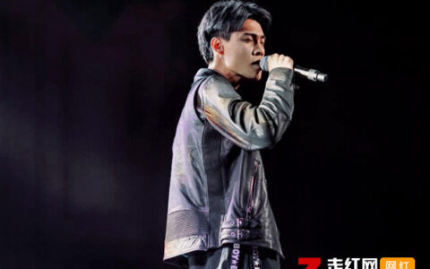 抖阴陪你去闯荡陪你去疯狂是什么歌，陪你到底歌曲介绍