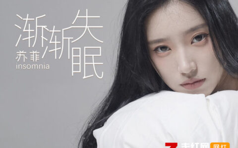 抖阴一想到你我会渐渐失眠是什么歌，渐渐失眠歌曲介绍