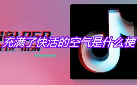 充满了快活的空气是什么梗