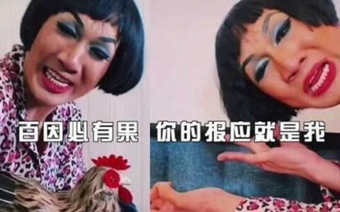 抖阴百因必有果你的报应就是我什么意思，百因必有果下一句是什么