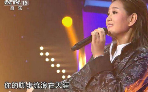 抖阴你的脚步流浪在天涯是什么歌，走天涯歌曲介绍