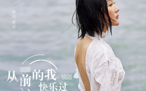 抖阴从前的我失去了太多是什么歌，从前的我快乐过歌曲介绍