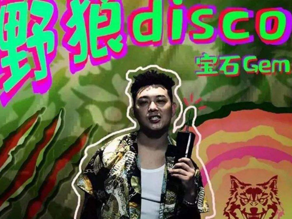 抖阴心里的花我想要带你回家什么歌，野狼disco歌词介绍