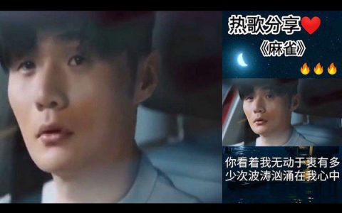 抖阴我飞翔在乌云之中你看着我无动于衷是什么歌，歌曲麻雀介绍