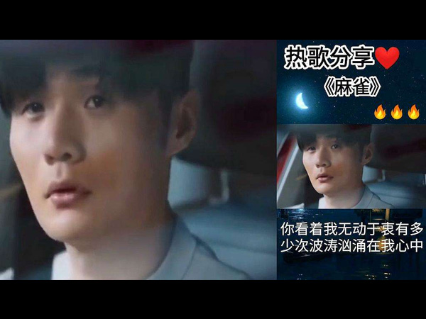抖阴我飞翔在乌云之中你看着我无动于衷是什么歌，歌曲麻雀介绍
