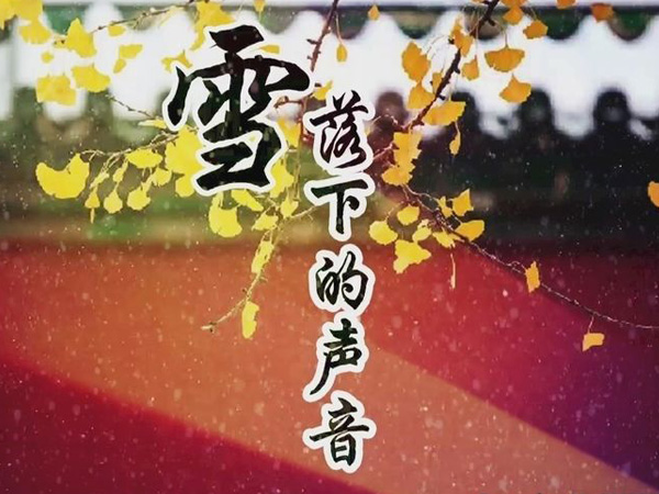 抖阴我慢慢的听雪落下的声音是什么歌，雪落下的声音歌词介绍