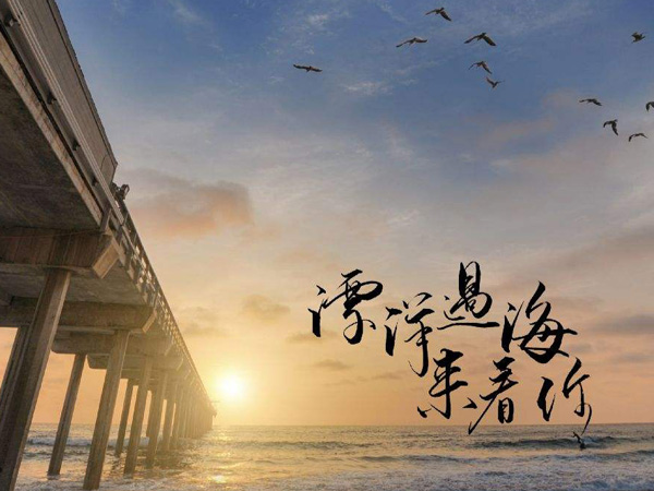 抖阴在漫天风沙里望着你远去是什么歌，漂洋过海来看你歌词介绍