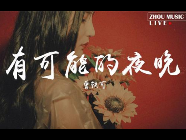 抖阴让蜡烛代替所有灯是什么歌，有可能的夜晚歌词介绍