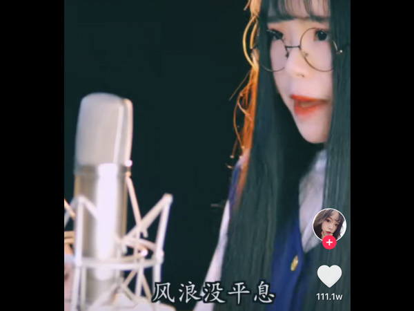 抖阴风浪没平息我宣告奔跑的意义是什么歌，歌曲飞的介绍