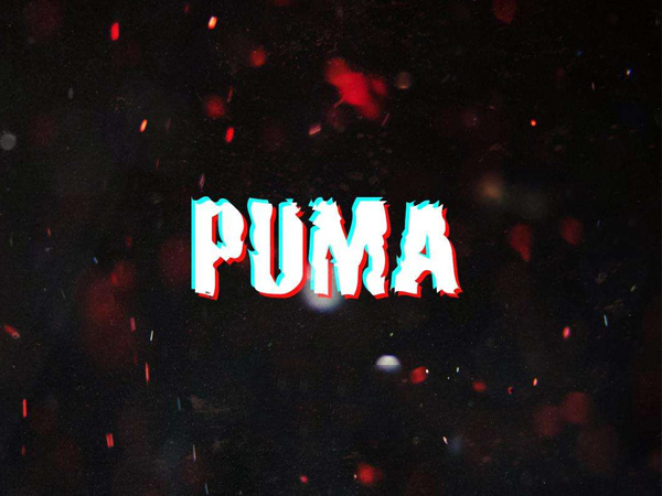 抖阴彪马彪马我要飙马是什么歌，PUMA歌词介绍
